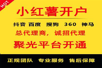 某品牌通过百度广告实现快速增长的案例